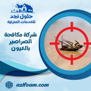 شركة مكافحة الصراصير بالعيون