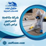 شركة مكافحة الصراصير براس تنورة