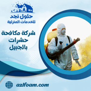 شركة مكافحة حشرات بالجبيل