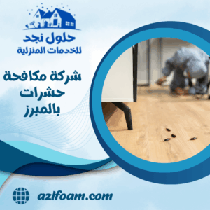 شركة مكافحة حشرات بالمبرز