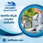 شركة مكافحة حشرات بالهفوف