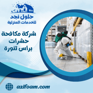 شركة مكافحة حشرات براس تنورة