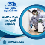 شركة مكافحة الصراصير بالقطيف