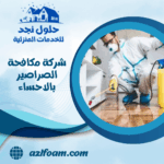 شركة مكافحة الصراصير بالاحساء