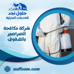 شركة مكافحة الصراصير بالهفوف