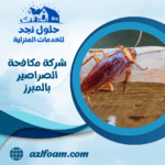 شركة مكافحة الصراصير بالمبرز