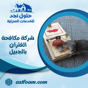 شركة مكافحة الفئران بالجبيل