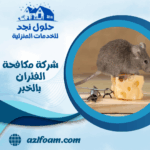 شركة مكافحة الفئران بالخبر