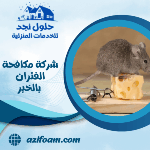 شركة مكافحة الفئران بالخبر