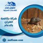 شركة مكافحة الفئران بالدمام