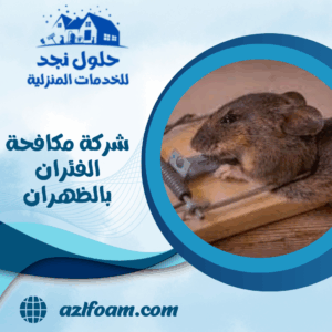 شركة مكافحة الفئران بالظهران
