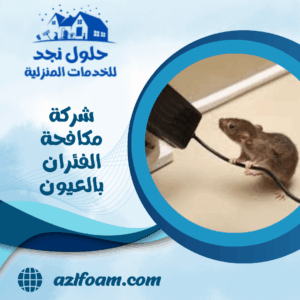 شركة مكافحة الفئران بالعيون