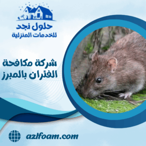 شركة مكافحة الفئران بالمبرز