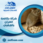 شركة مكافحة الفئران بالهفوف