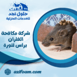 شركة مكافحة الفئران براس تنورة