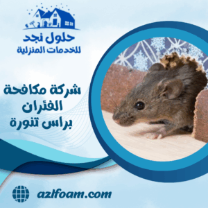 شركة مكافحة الفئران براس تنورة