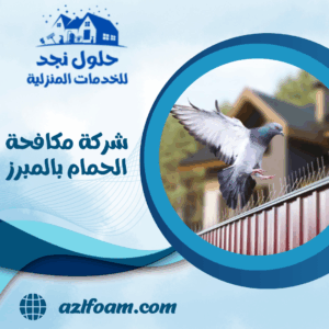 شركة مكافحة الحمام بالمبرز