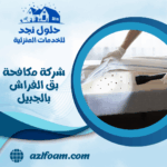 شركة مكافحة بق الفراش بالجبيل