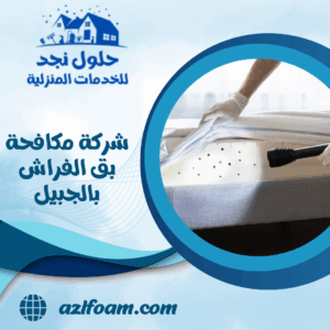 شركة مكافحة بق الفراش بالجبيل