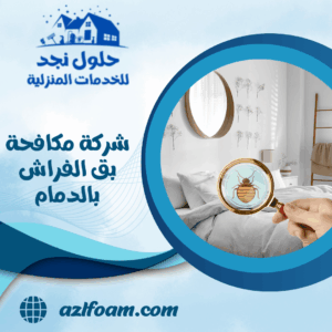 شركة مكافحة بق الفراش بالدمام
