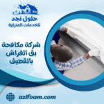شركة مكافحة بق الفراش بالقطيف