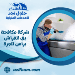 شركة مكافحة بق الفراش براس تنورة