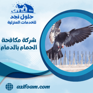 شركة مكافحة الحمام بالدمام شركة مكافحة الحمام بالدمام