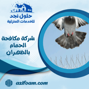 شركة مكافحة الحمام بالظهران شركة مكافحة الحمام بالظهران