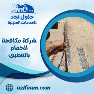 شركة مكافحة الحمام بالقطيف شركة مكافحة الحمام بالقطيف